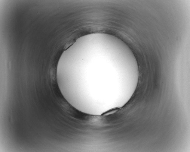 X0000088680096200706211916