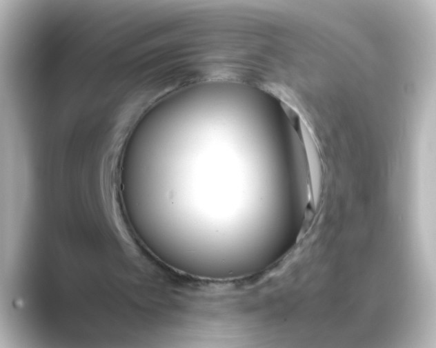 X0000088680097200706211916