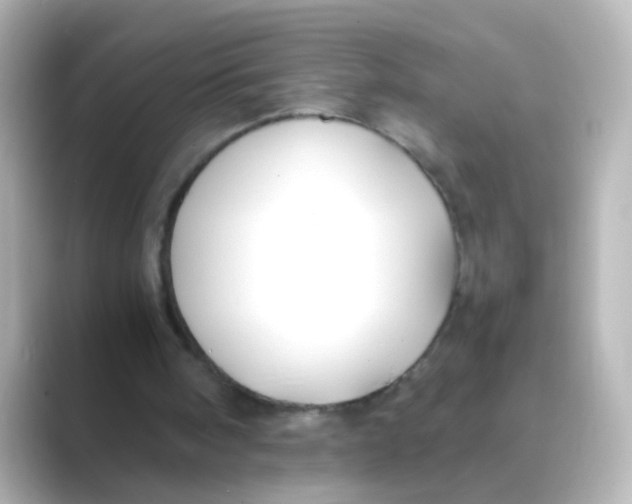 X0000088680098200706211916