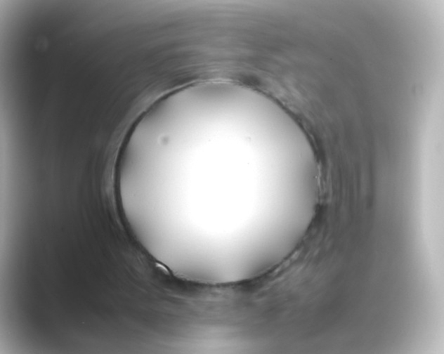 X0000088680099200706211916