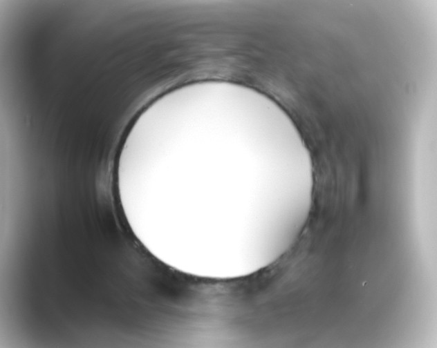 X0000088680100200706211916