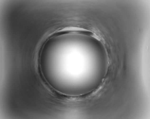 X0000088680101200706211916