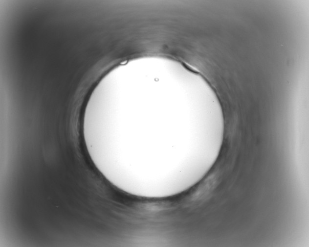 X0000088680103200706211916