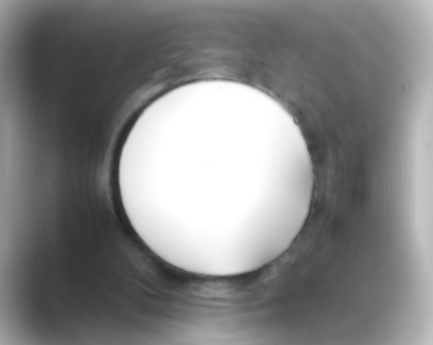 X0000088680104200706211916