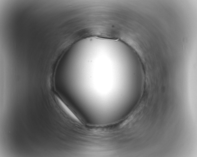 X0000088680105200706211916