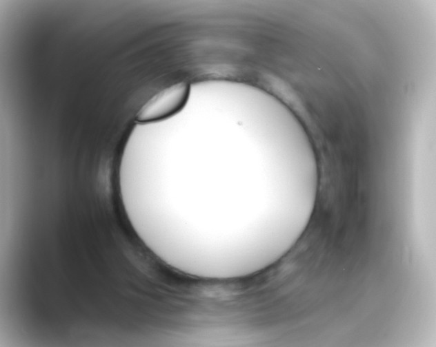 X0000088680106200706211916