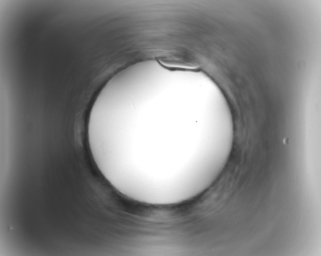 X0000088680107200706211916