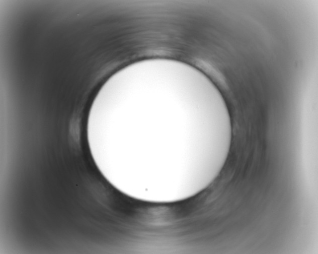 X0000088680108200706211916