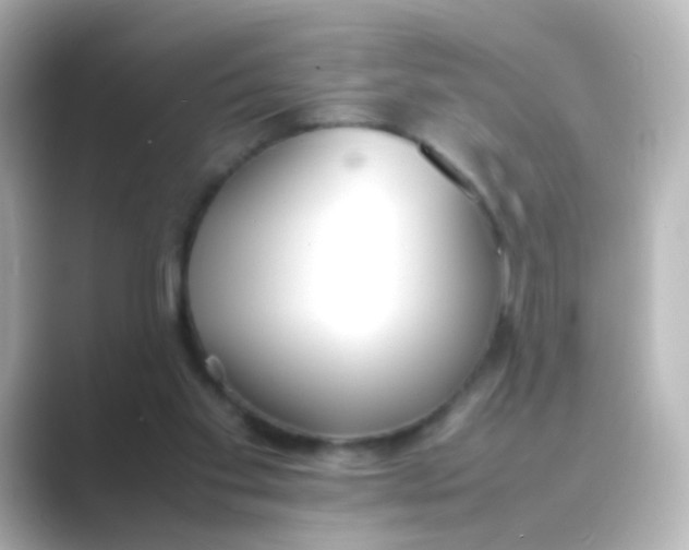 X0000088680109200706211916