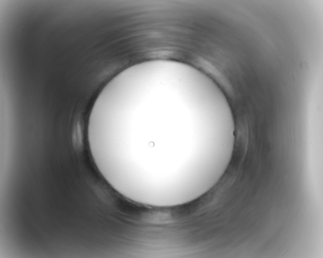 X0000088680110200706211916