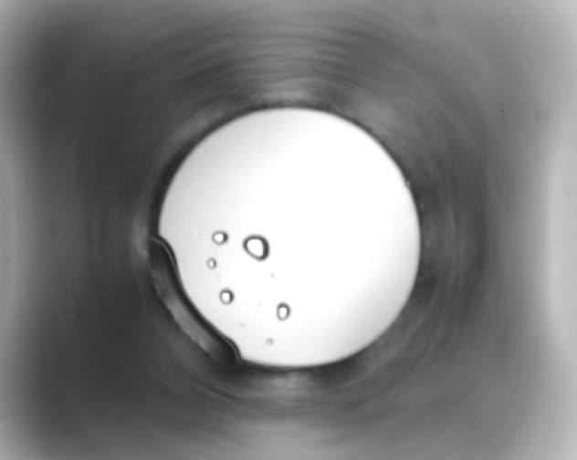 X0000088680112200706211916