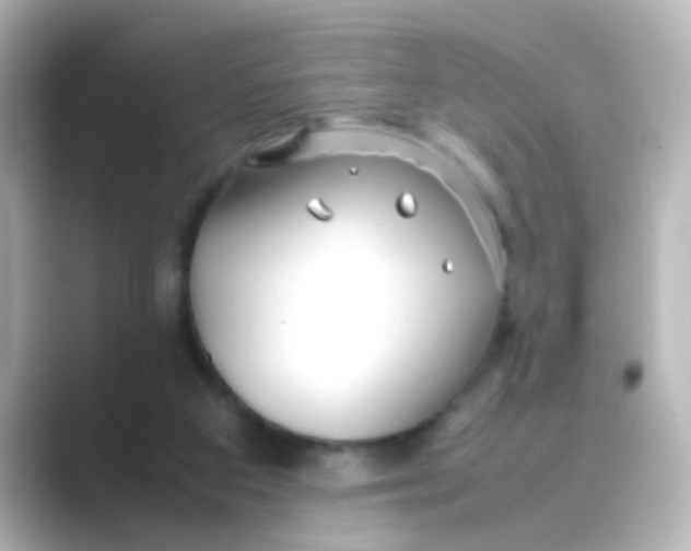 X0000088680113200706211916