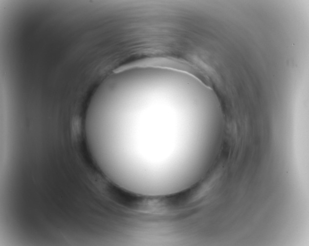 X0000088680117200706211916