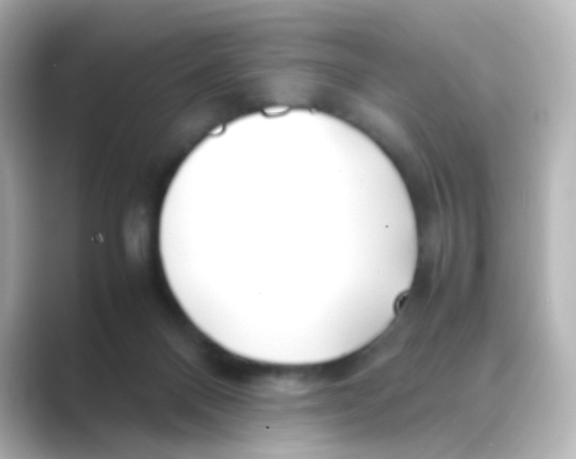 X0000088680120200706211916