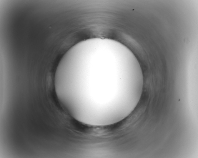 X0000088680121200706211916