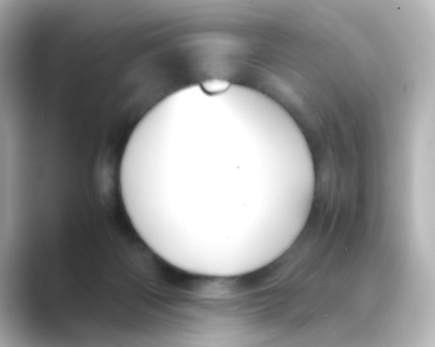 X0000088680122200706211916