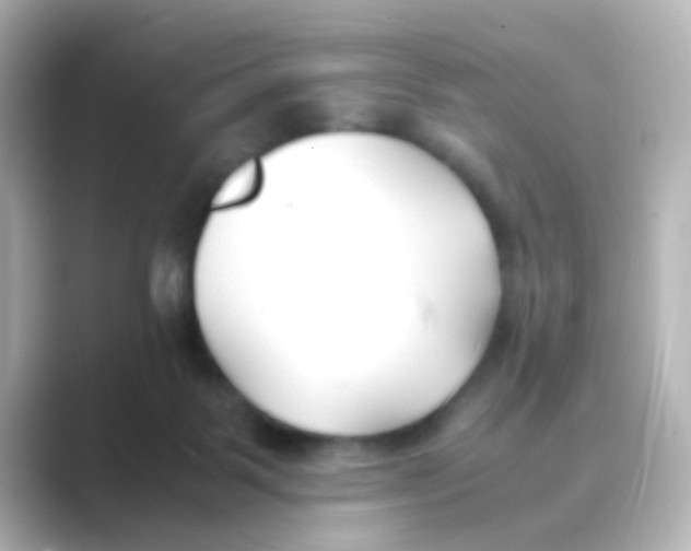 X0000088680123200706211916