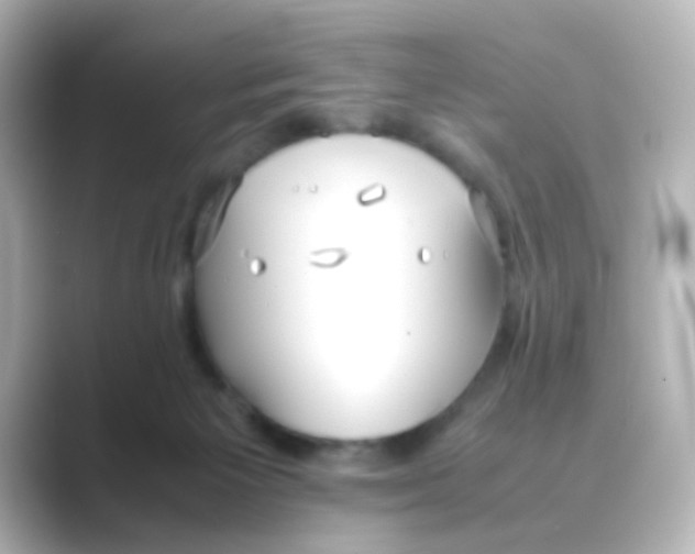 X0000088680125200706211916