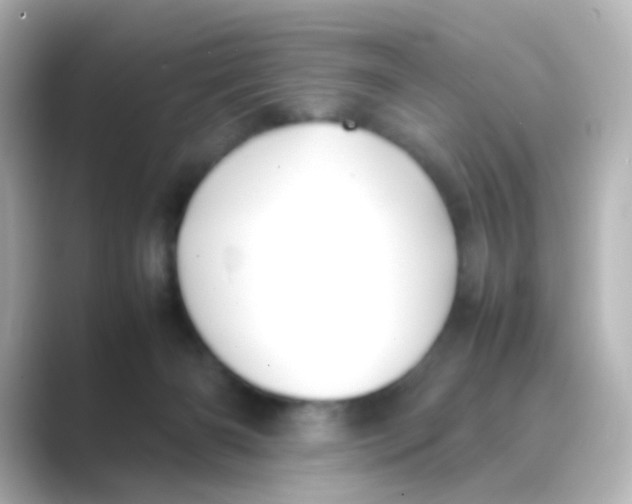 X0000088680126200706211916