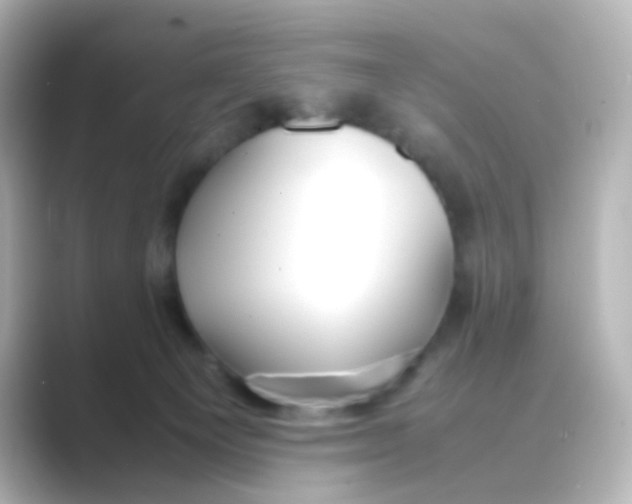 X0000088680129200706211916