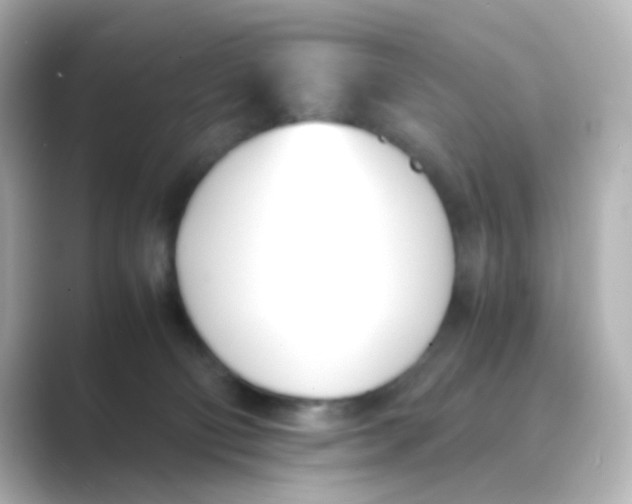 X0000088680130200706211916