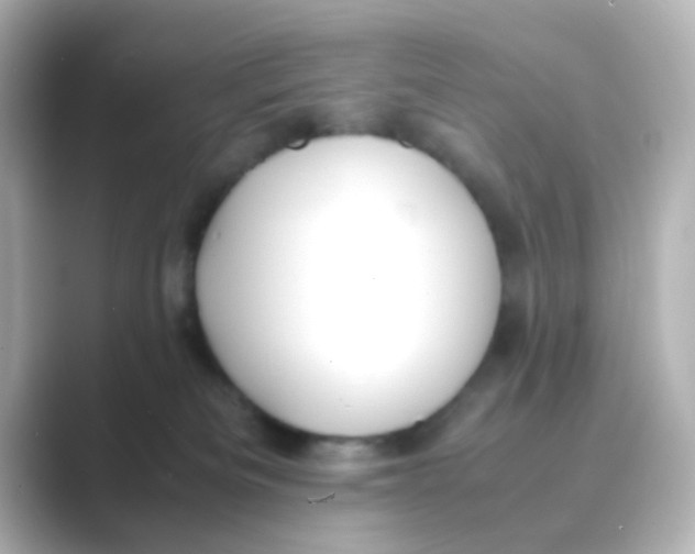 X0000088680133200706211916