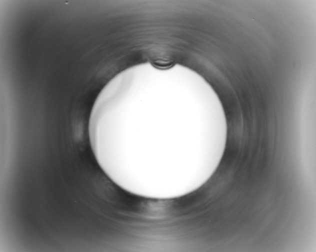 X0000088680134200706211916