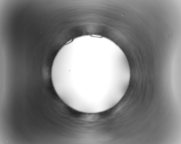 X0000088680135200706211915