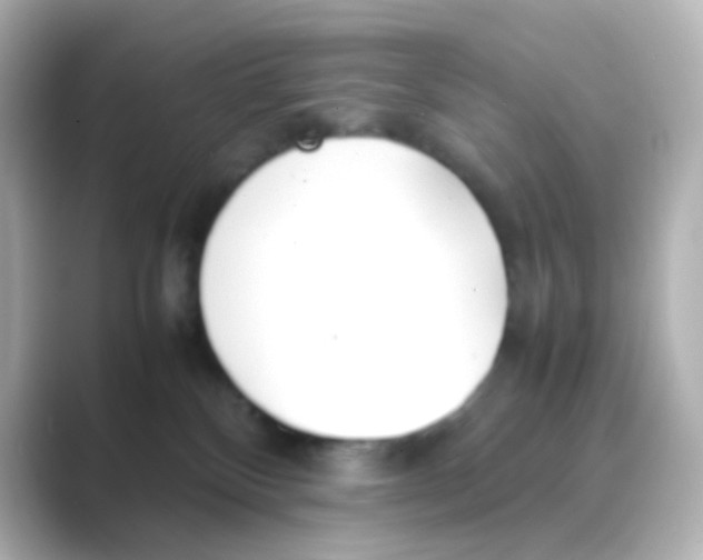 X0000088680136200706211915