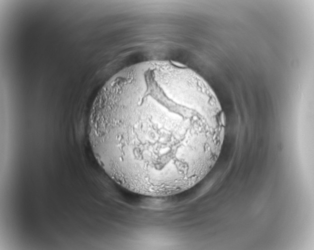 X0000088680139200706211915