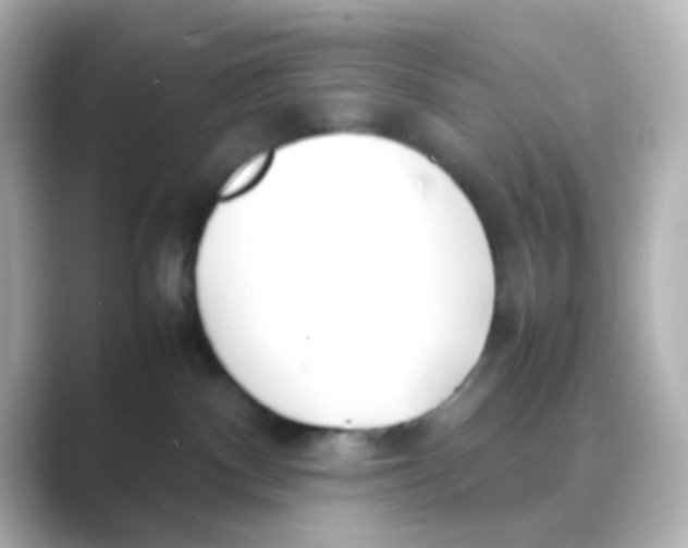 X0000088680140200706211915