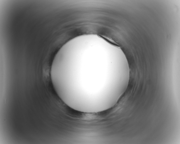 X0000088680141200706211915