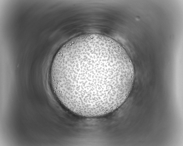 X0000088680145200706211915