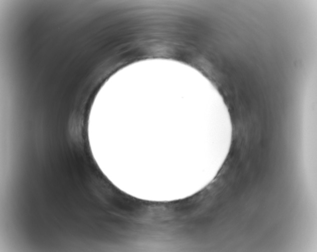 X0000088680146200706211915