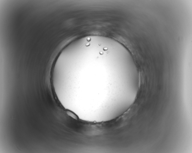 X0000088680147200706211915