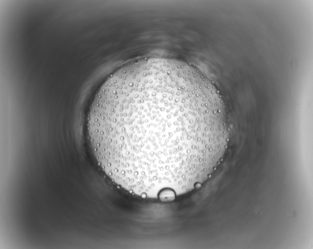 X0000088680149200706211915