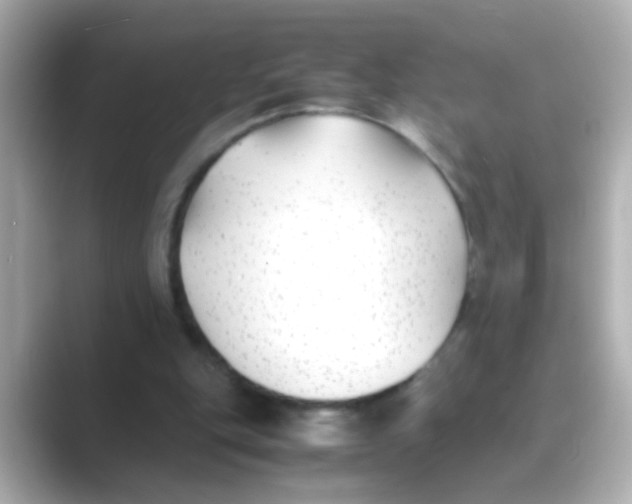 X0000088680151200706211915