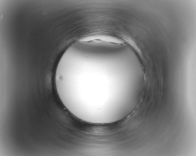 X0000088680154200706211915