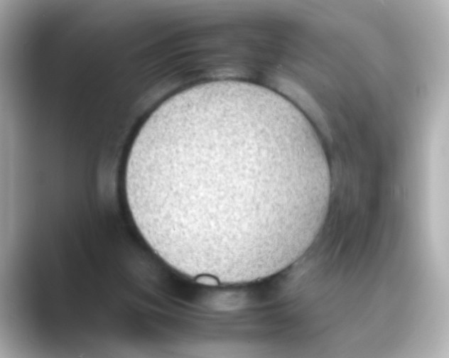 X0000088680155200706211915