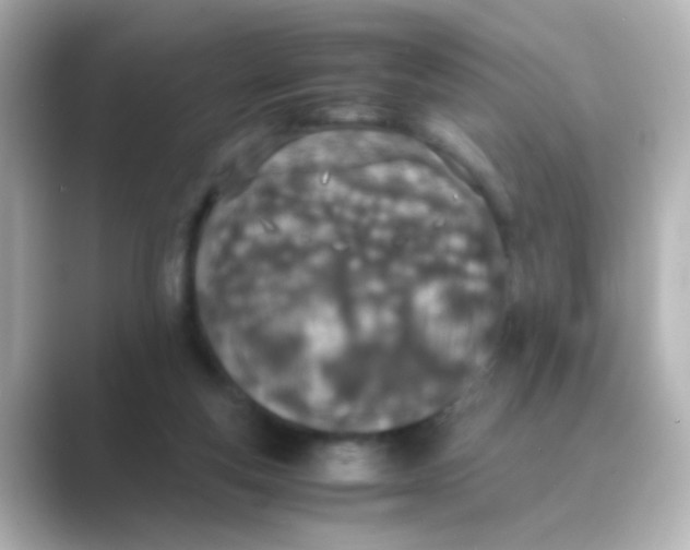 X0000088680163200706211915