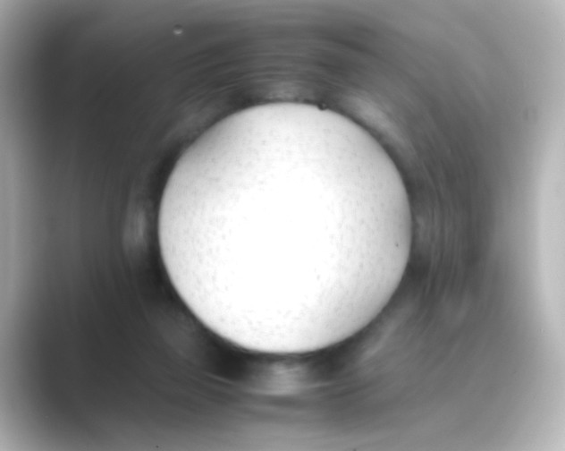 X0000088680165200706211915