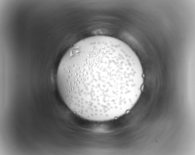 X0000088680169200706211915