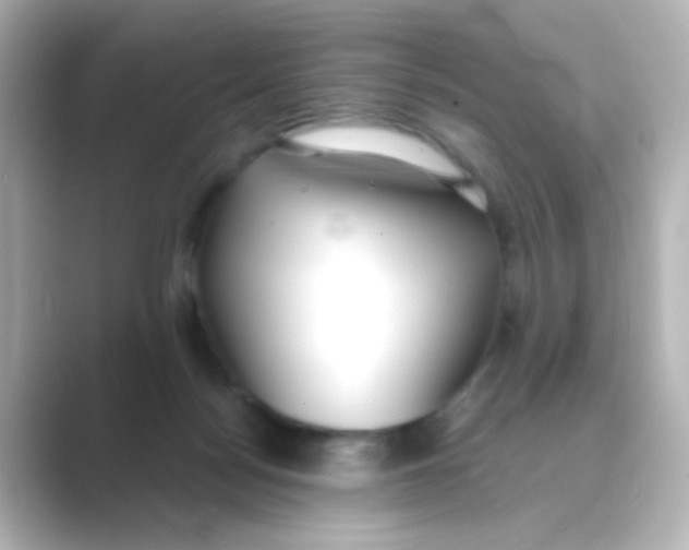 X0000088680172200706211915