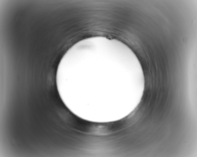 X0000088680174200706211915