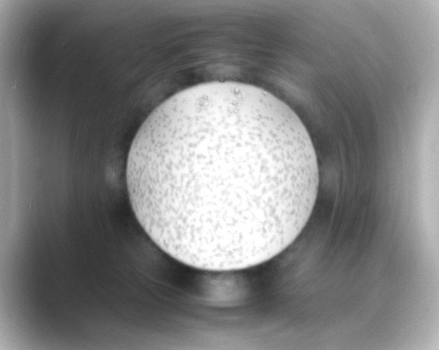 X0000088680181200706211915