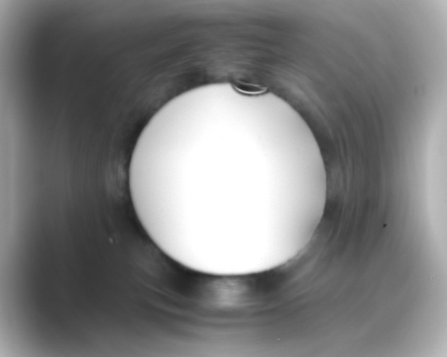 X0000088680183200706211915