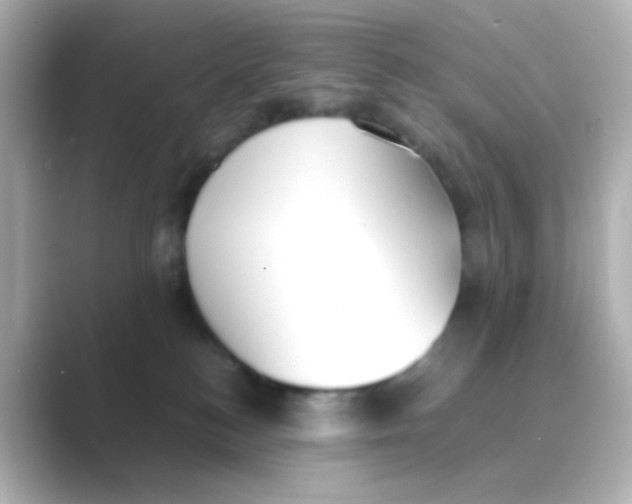 X0000088680184200706211915