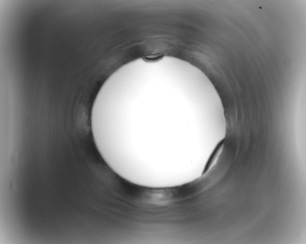 X0000088680187200706211915