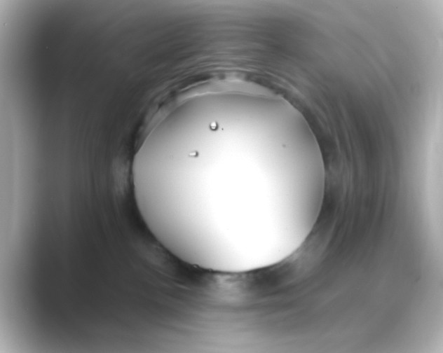 X0000088680188200706211915