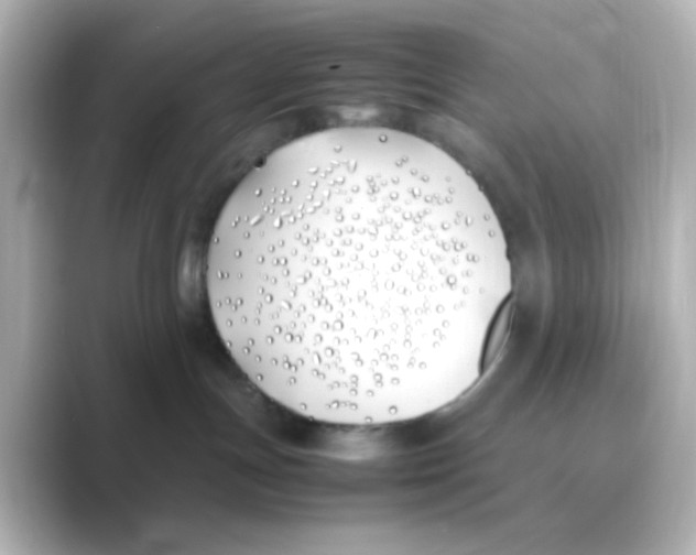 X0000088680191200706211915